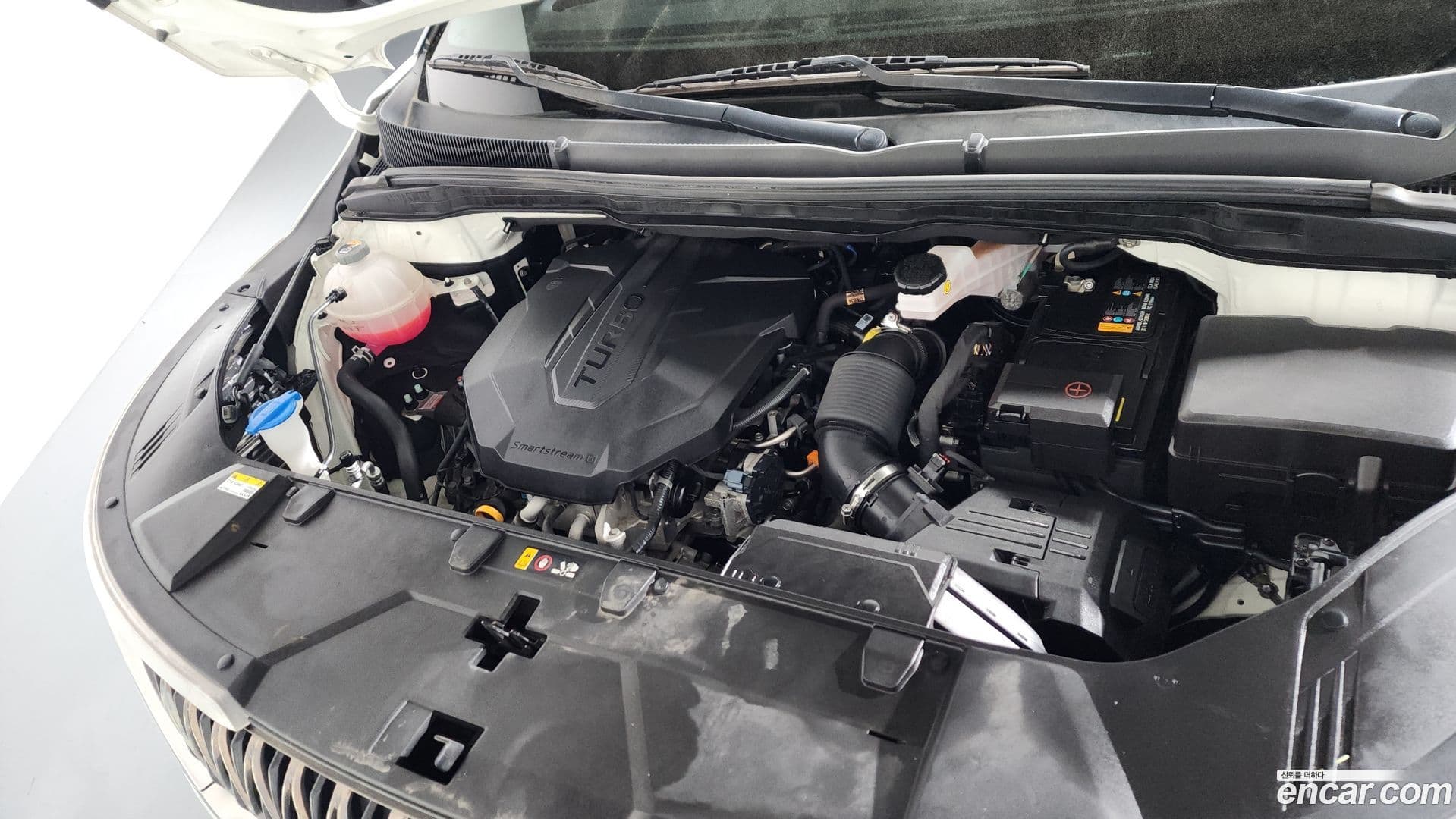 Main__Slider__Photo:Canival Kia 2022.6-5