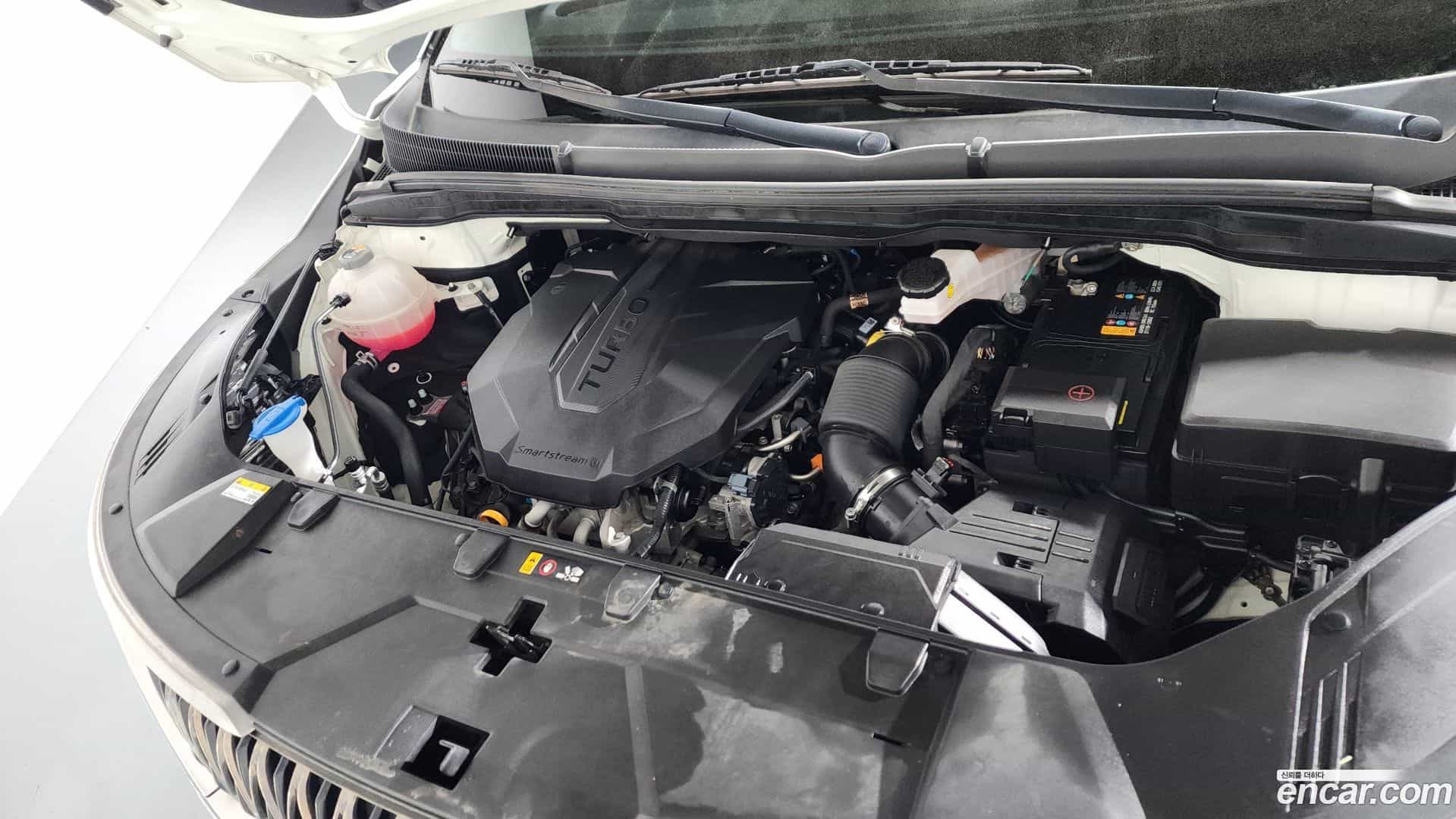 Canival Kia 2022.6-OPTION-023