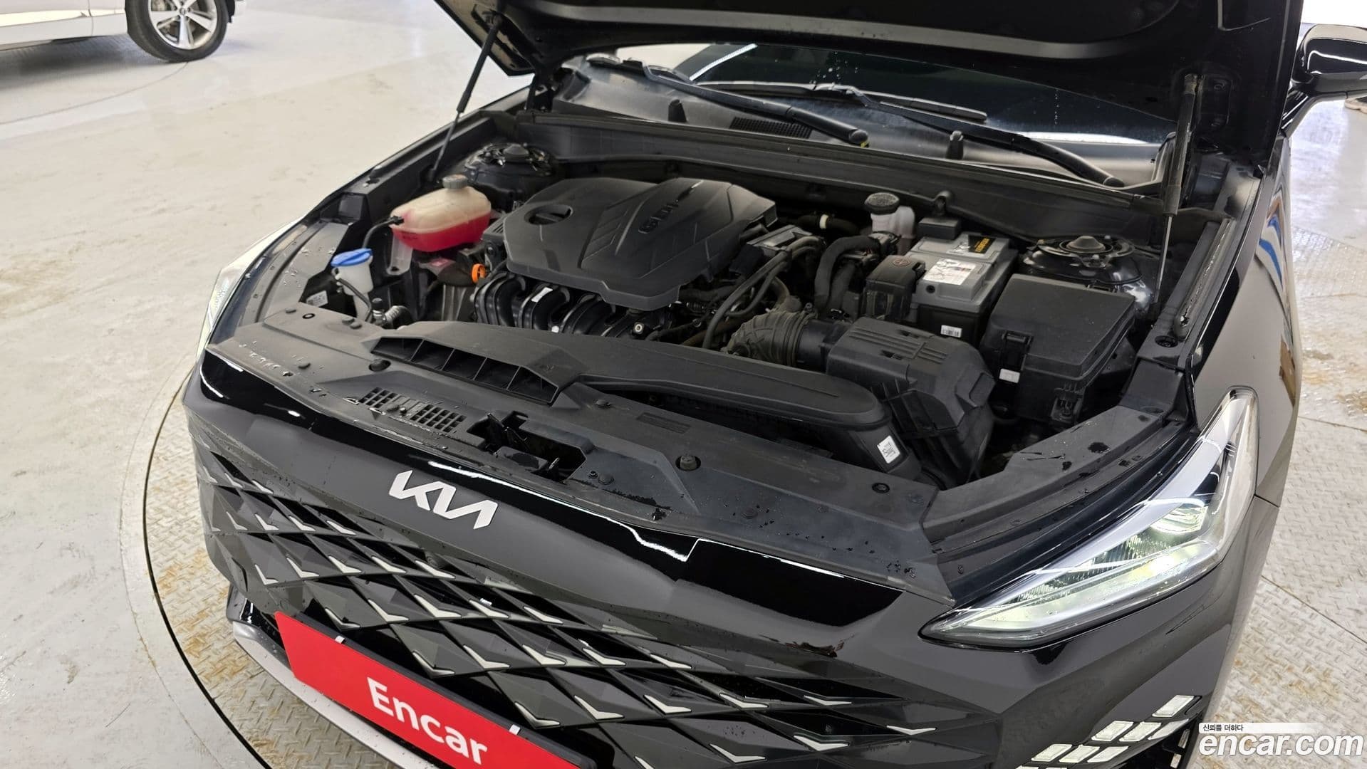 Main__Slider__Photo:K8 Kia 2021.6-5