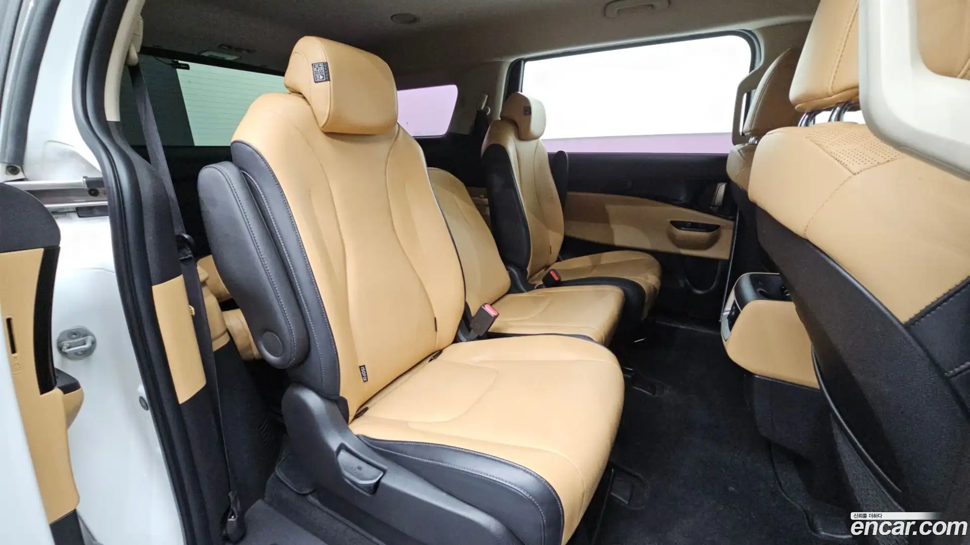 Canival Kia 2020.8-OPTION-015