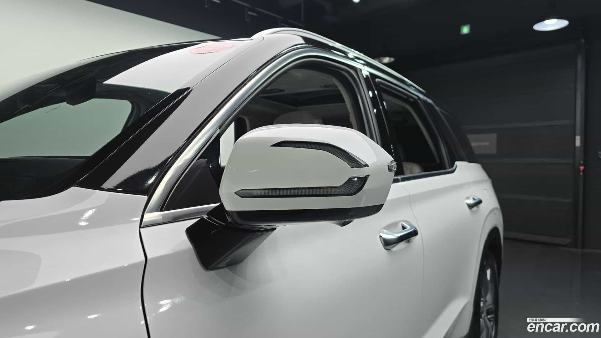 Palisade Hyundai 2020.3-OPTION-041