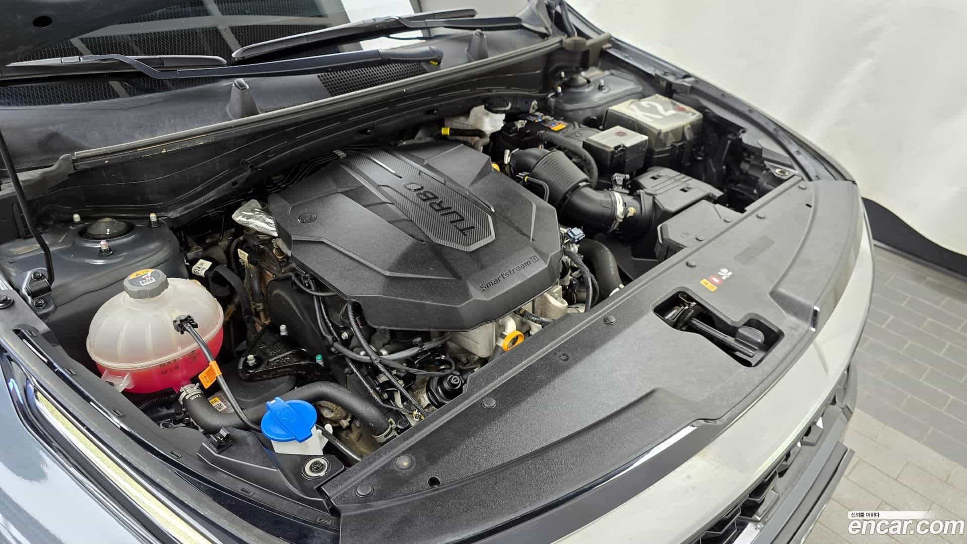 Sportage Kia 2024.2-OUTER-006