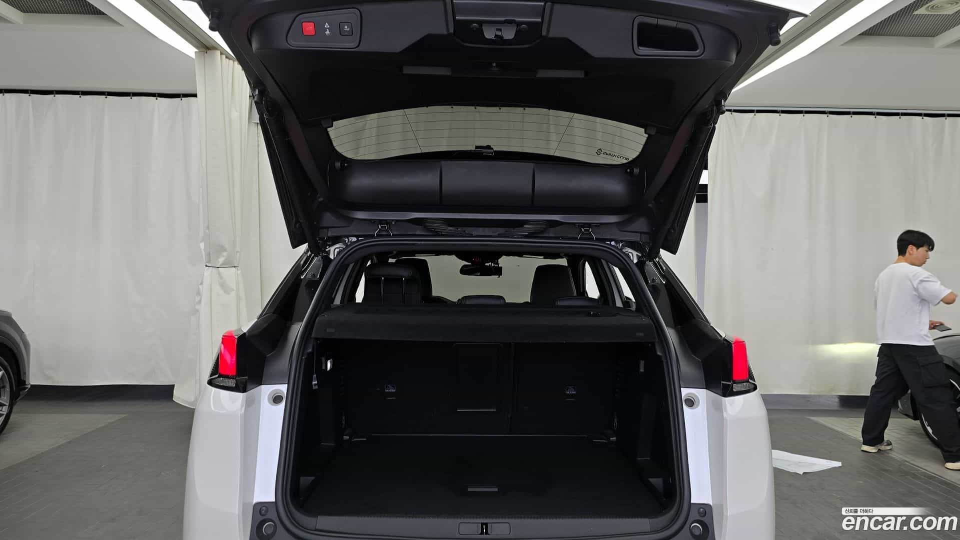 3008 Peugeot 2020.6-OPTION-024