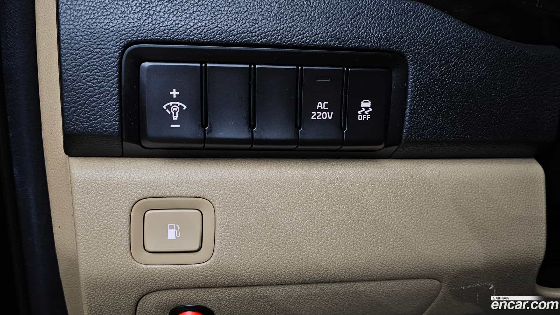 Canival Kia 2019.4-OPTION-017