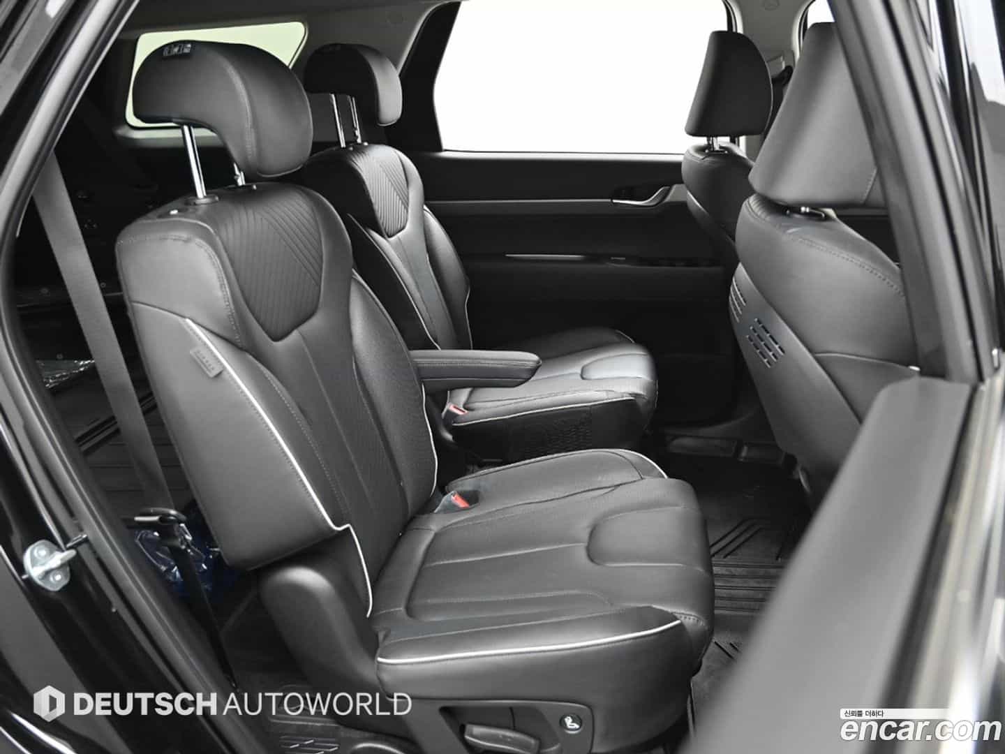Palisade Hyundai 2024.6-OPTION-021