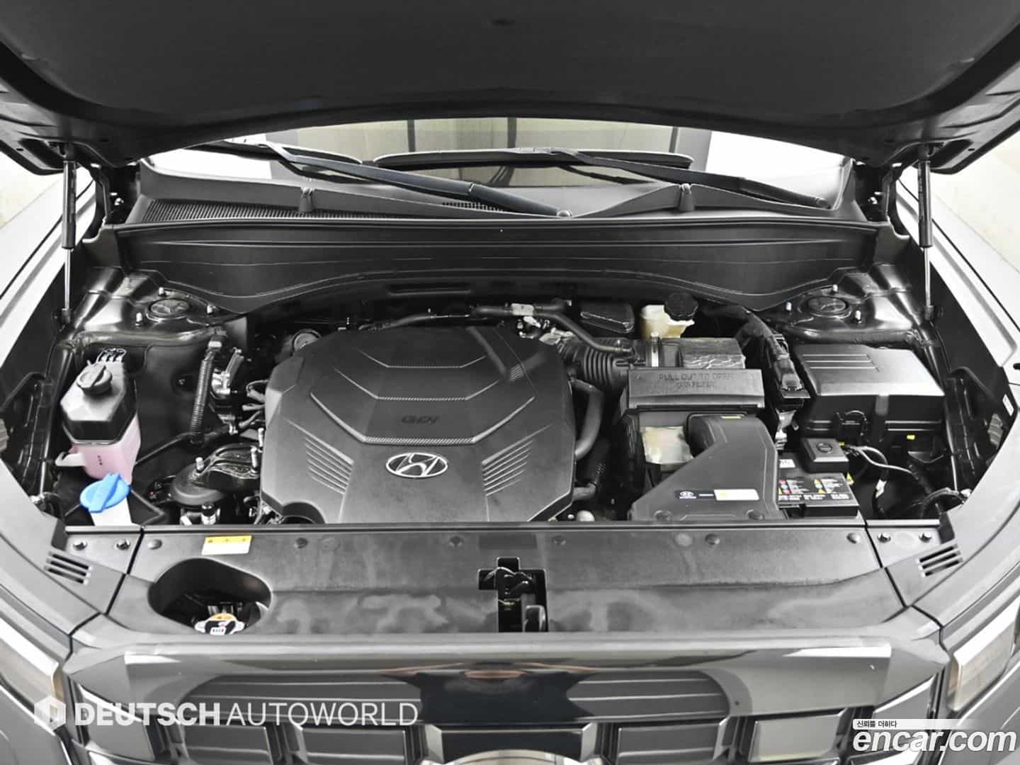 Palisade Hyundai 2024.6-OPTION-024