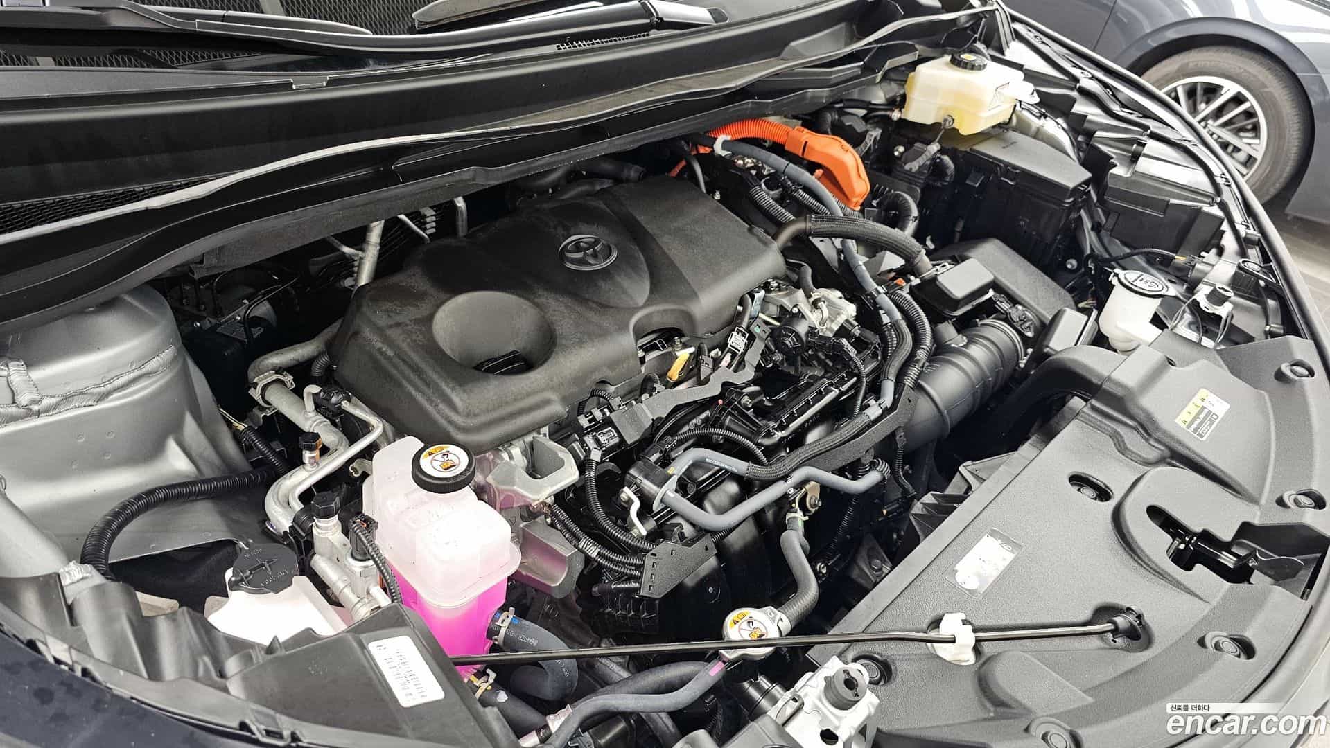 Sienna Toyota 2024.7-OUTER-006