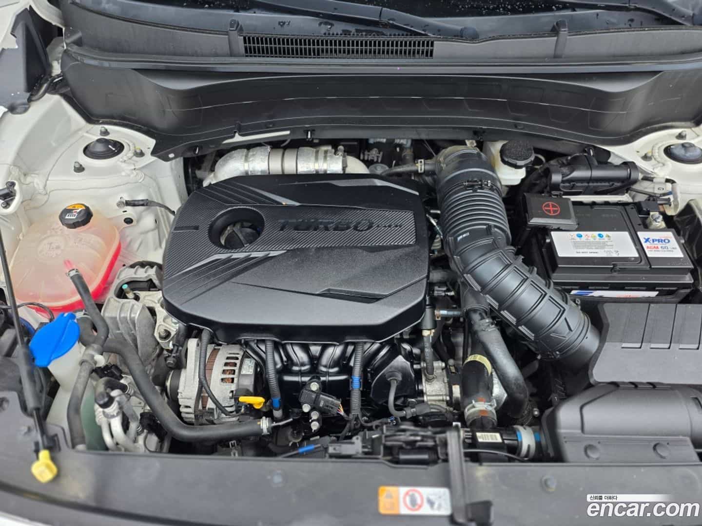 Seltos Kia 2022.6-OPTION-023