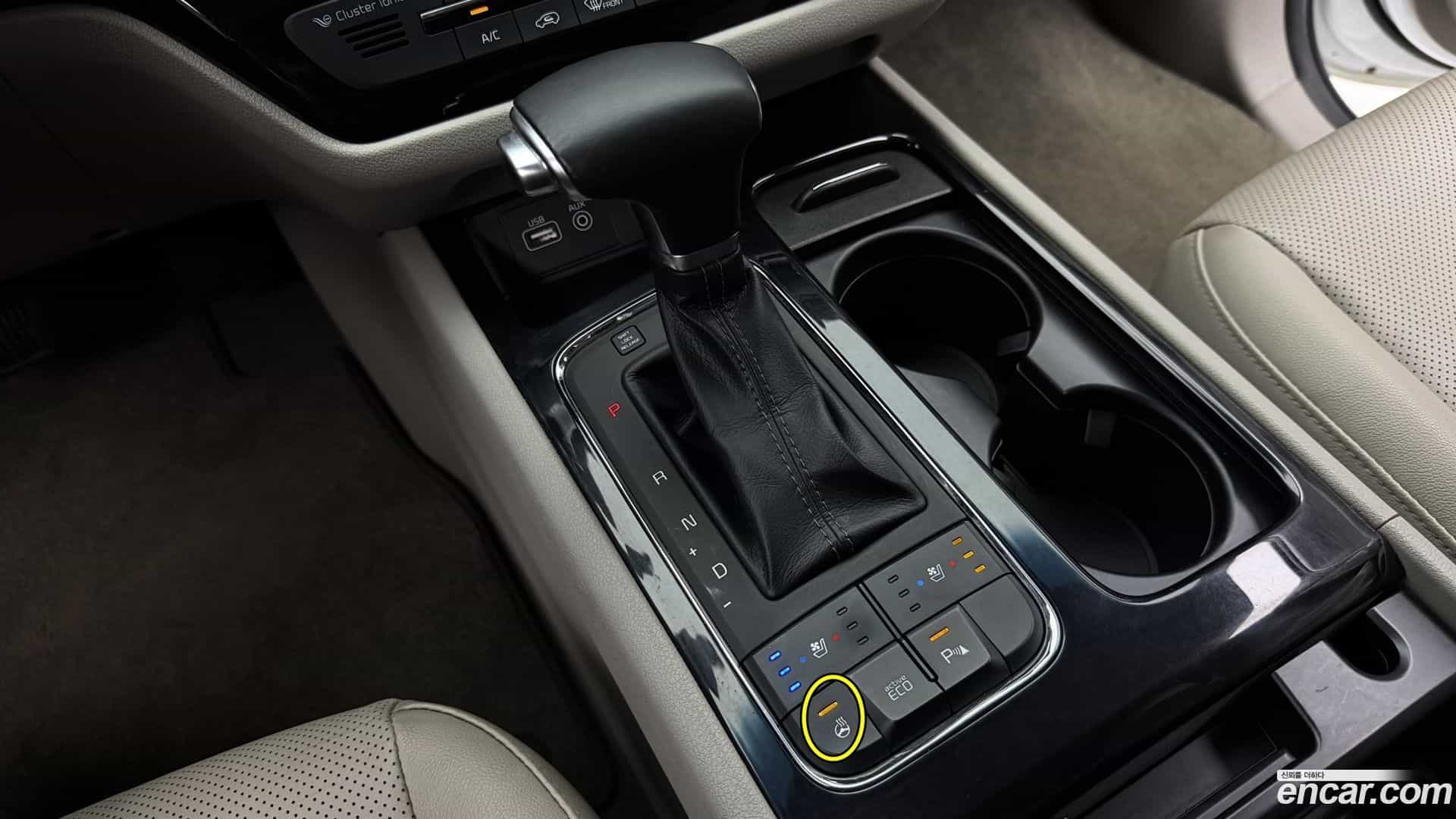 Canival Kia 2018.2-OPTION-019