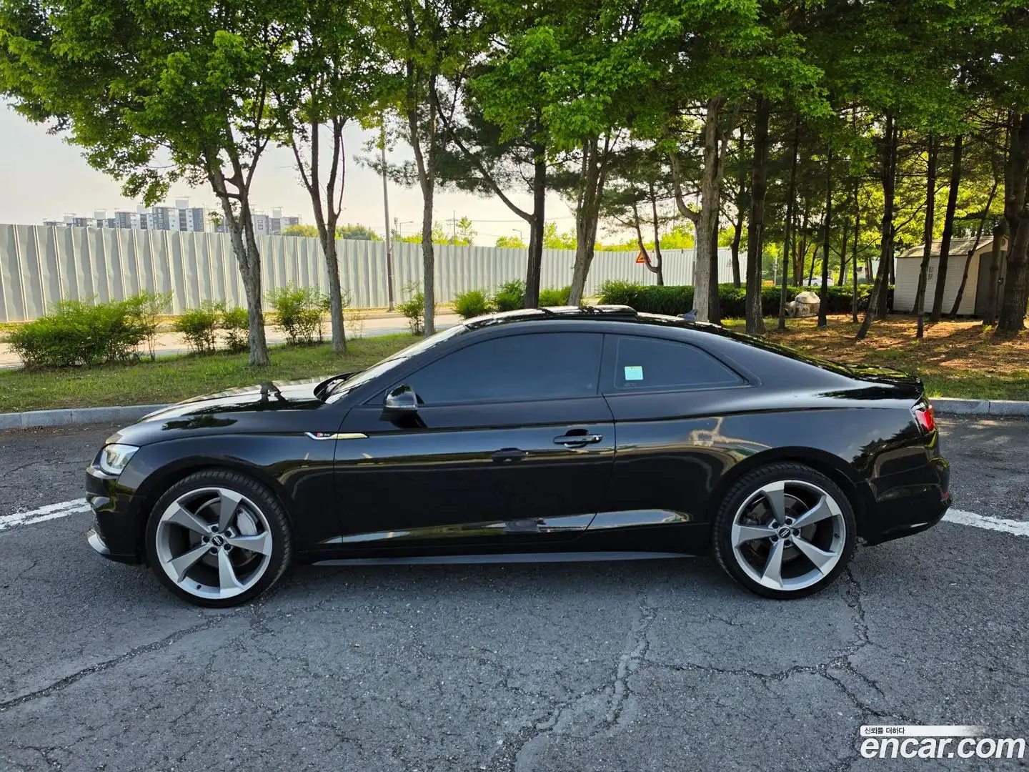 A5 Audi 2019.9-OPTION-016