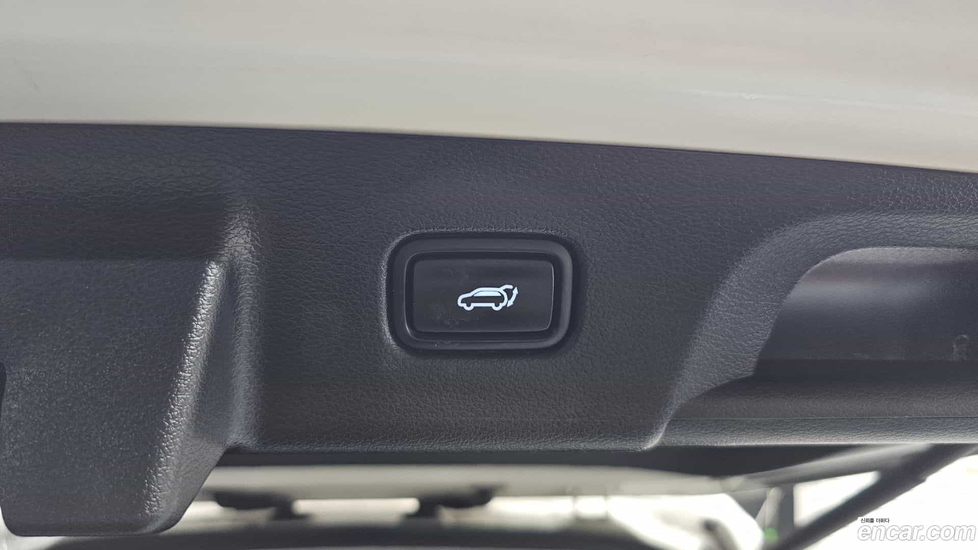 Palisade Hyundai 2020.10-OPTION-044
