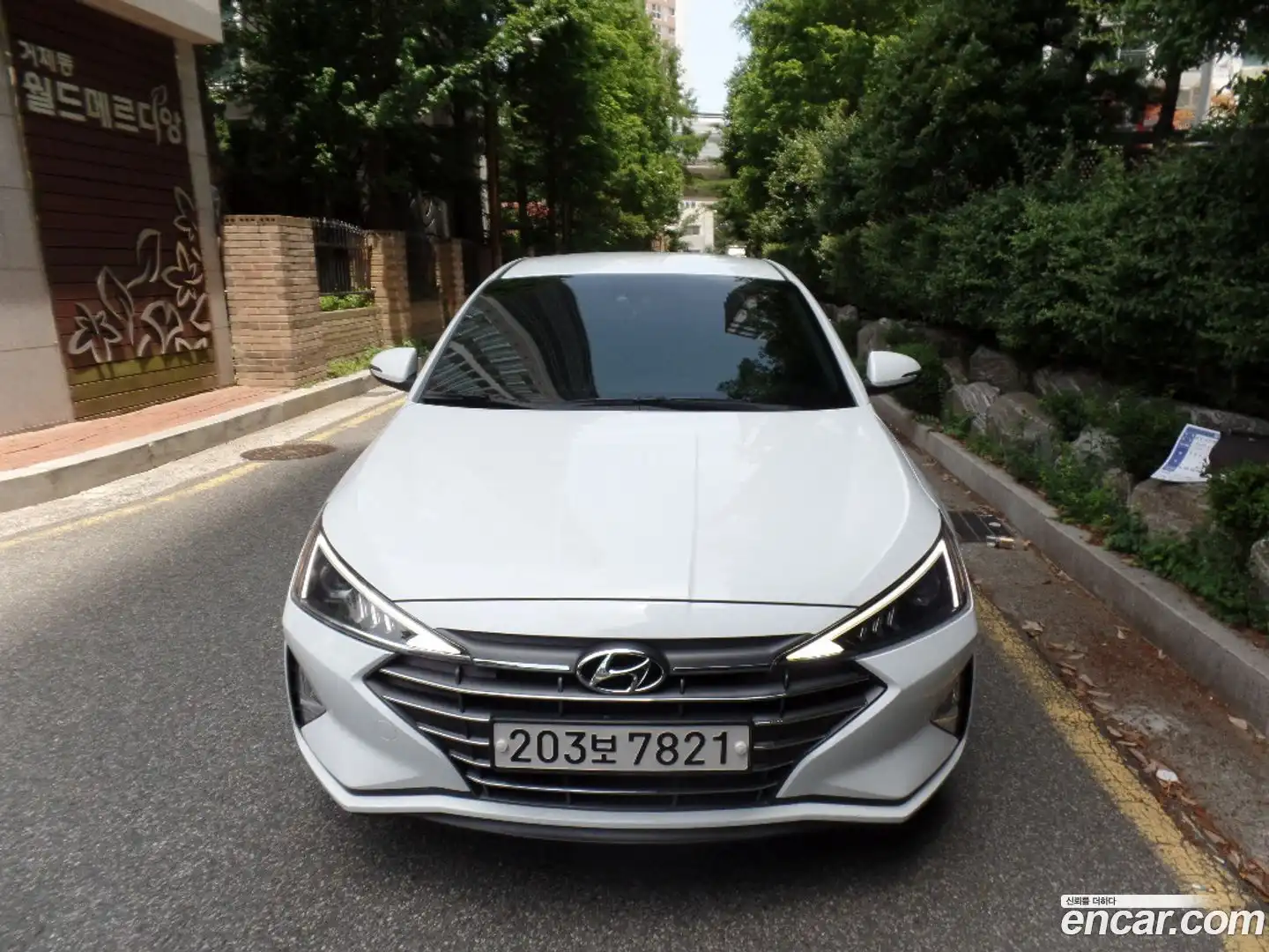 AVANTE Hyundai 2019.5-OUTER-002