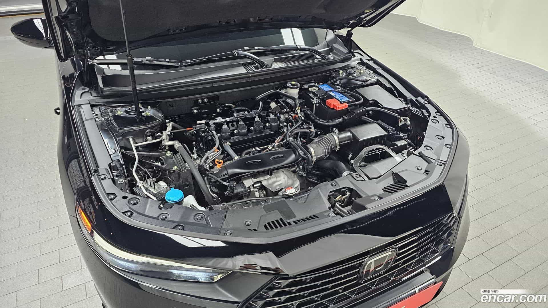 Accord Honda 2024.5-OUTER-006