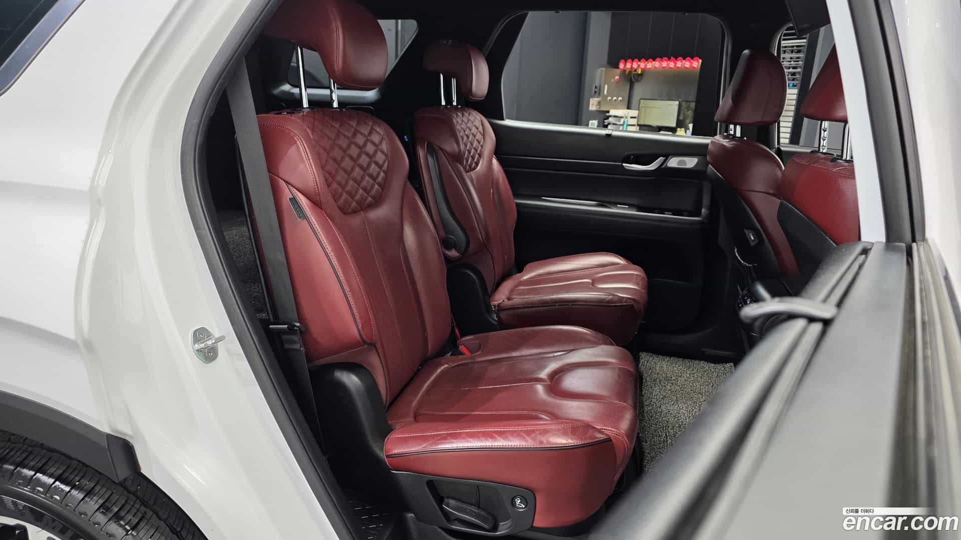 Palisade Hyundai 2019.5-OPTION-016