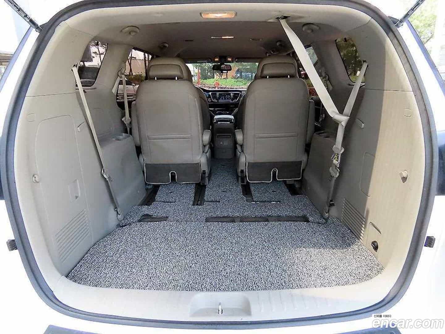 Canival Kia 2018.5-OPTION-022