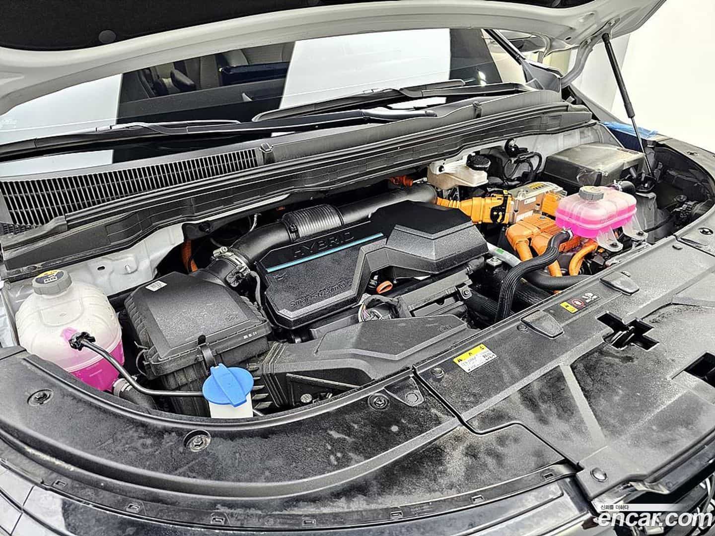 Canival Kia 2024.5-OUTER-006