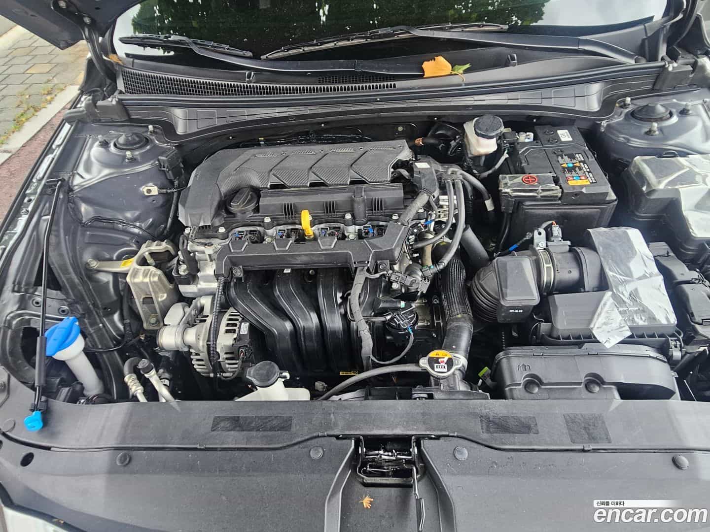 AVANTE Hyundai 2024.0-OPTION-016