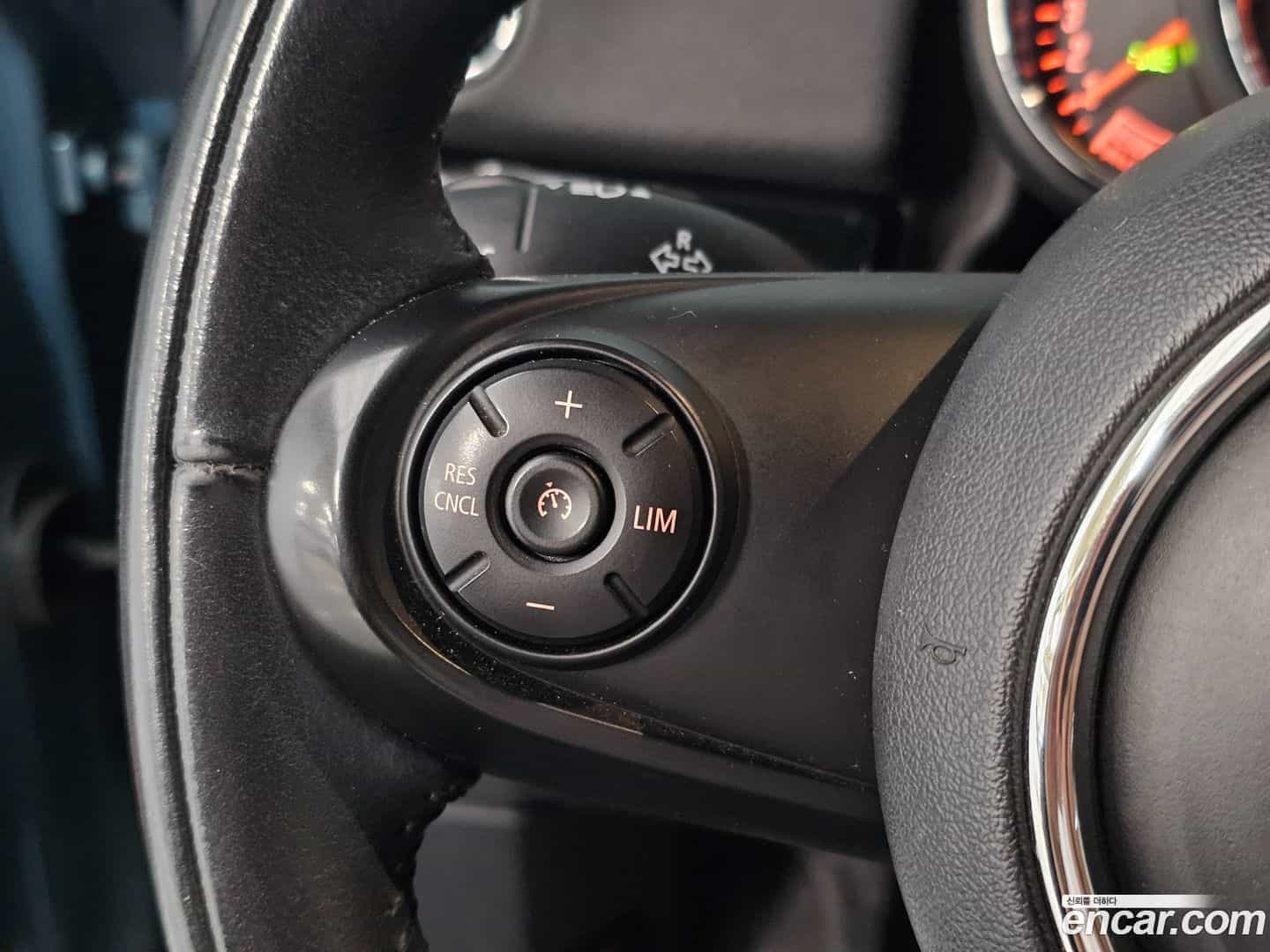 Countryman Mini 2021.0-INNER-008