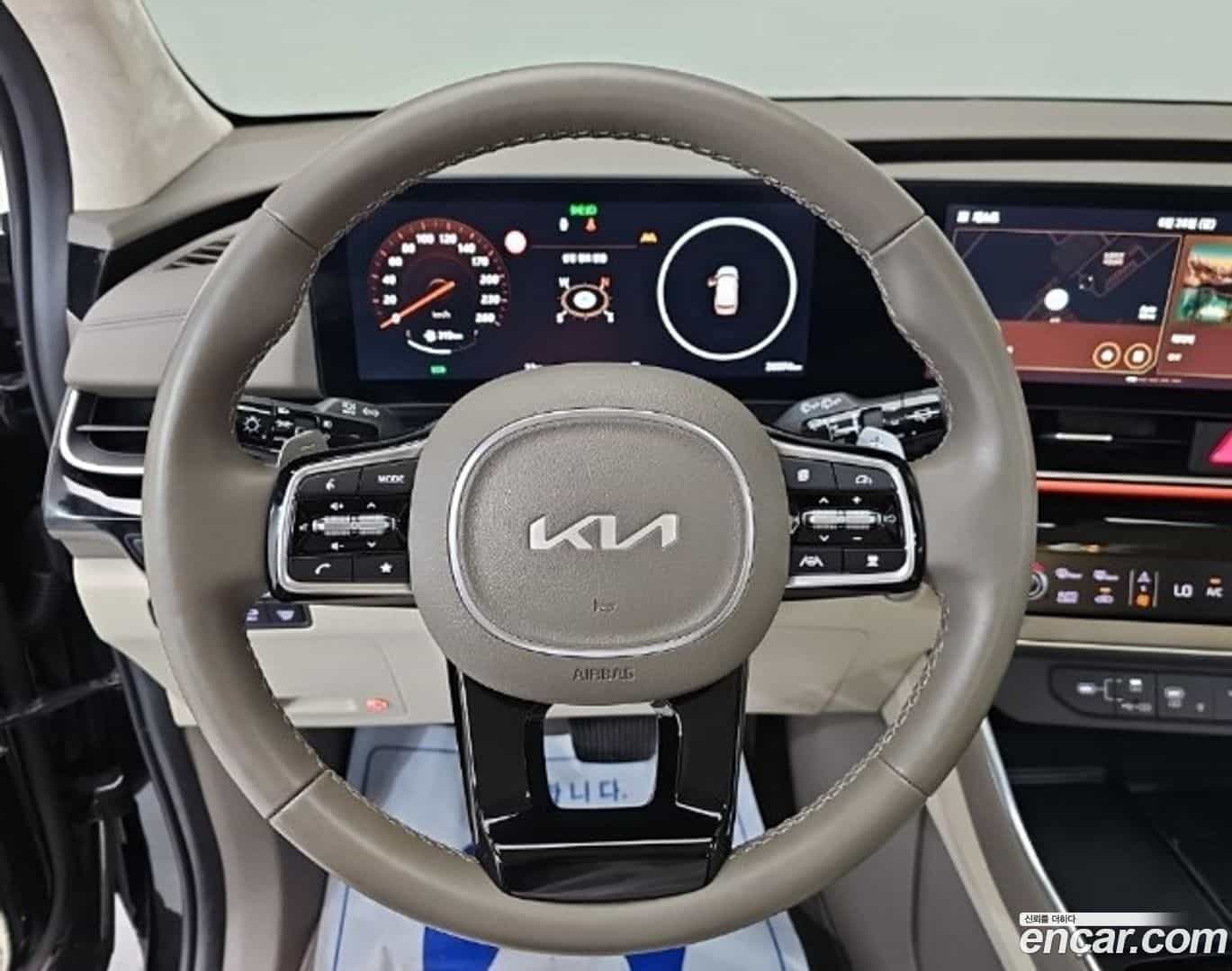 Canival Kia 2024.4-INNER-010