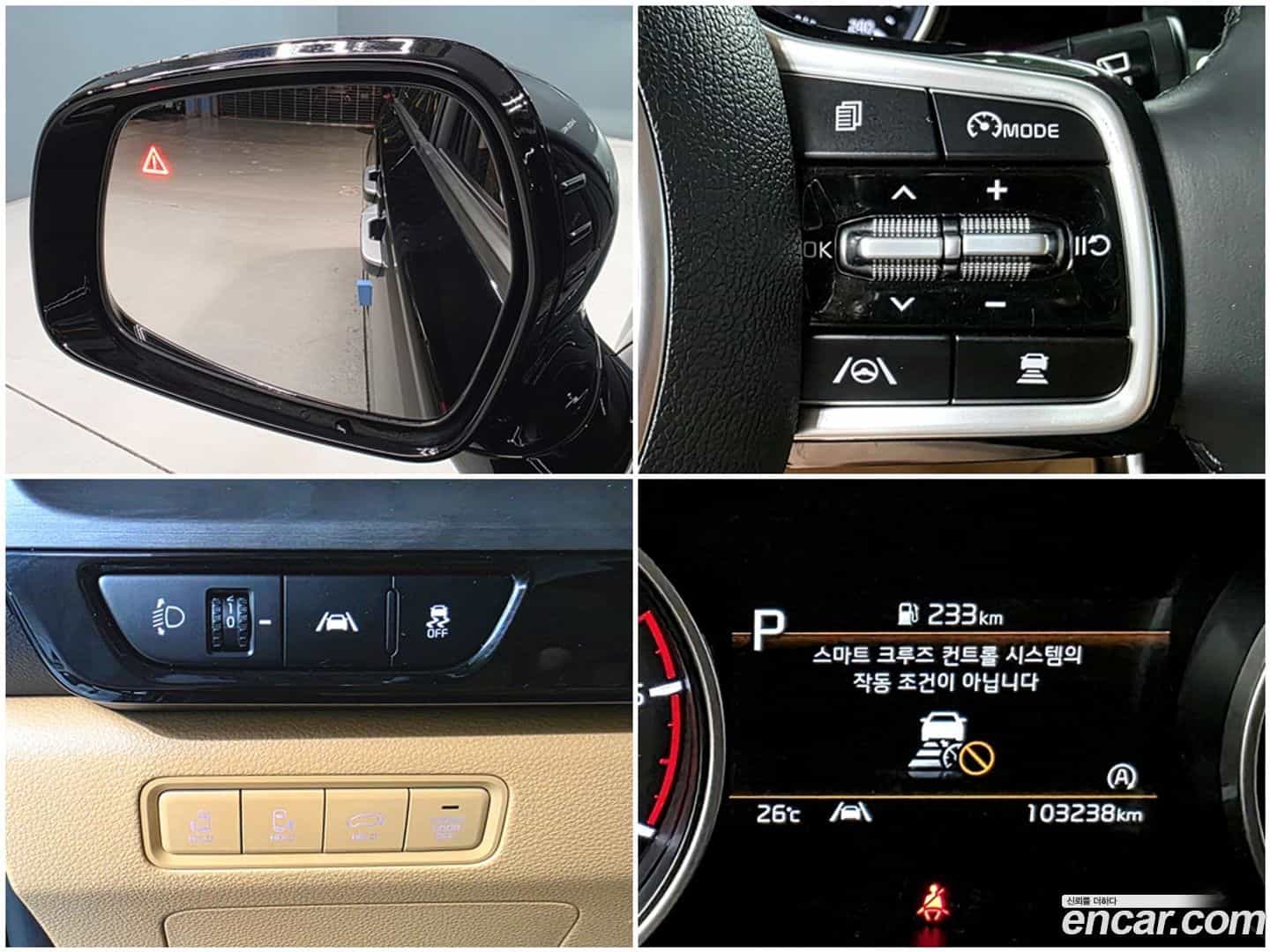 Canival Kia 2021.2-OPTION-021