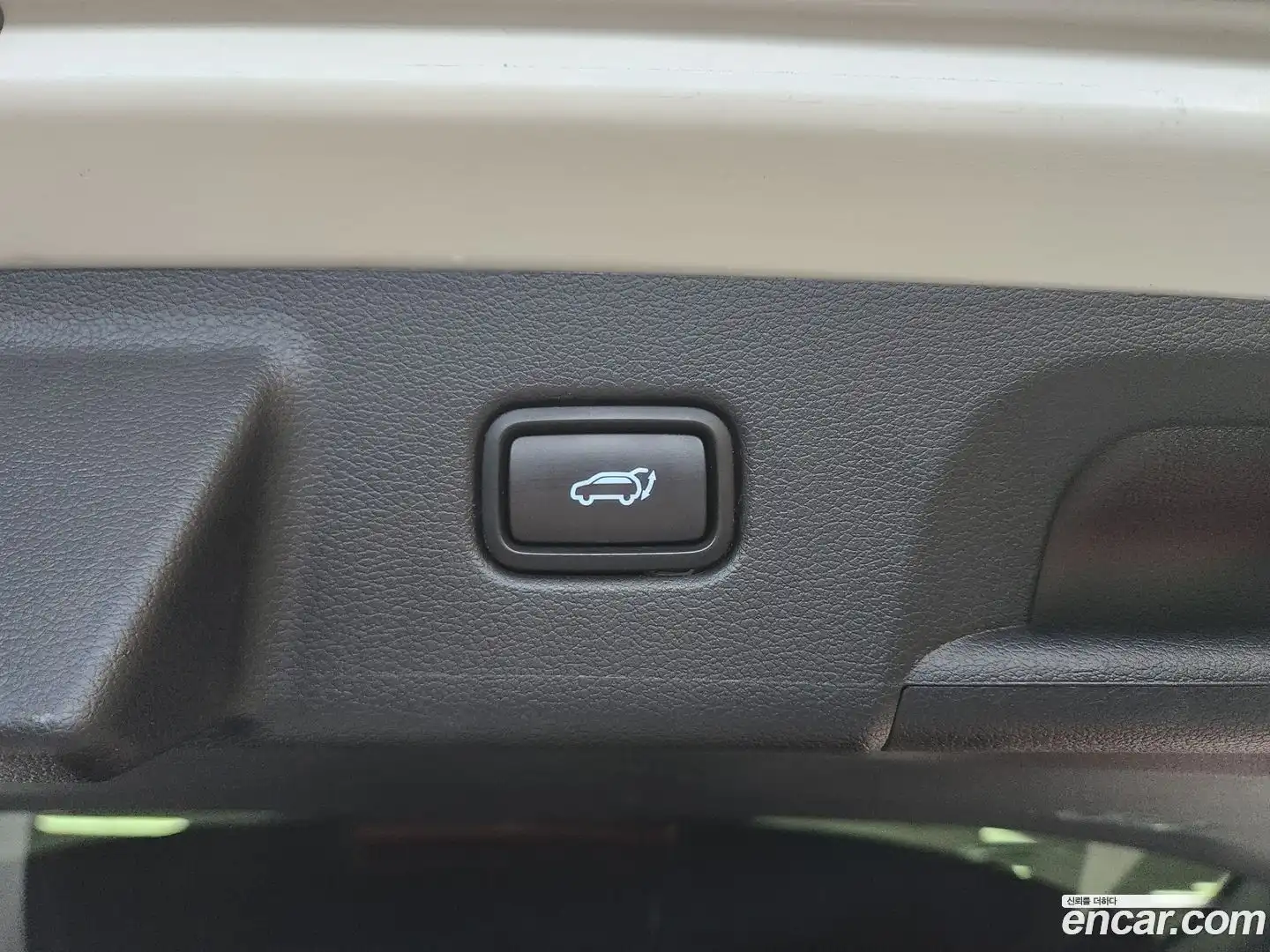 Palisade Hyundai 2024.11-OPTION-023