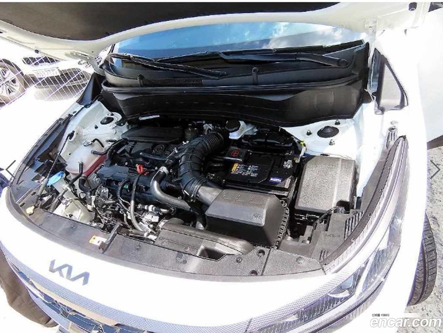 Seltos Kia 2025.6-OPTION-023