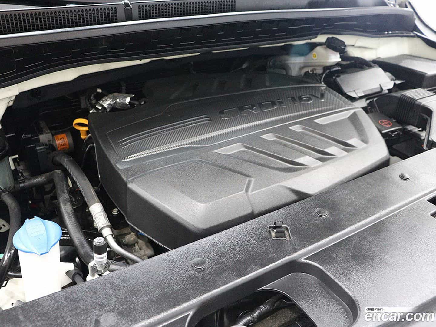 Canival Kia 2019.5-OPTION-023
