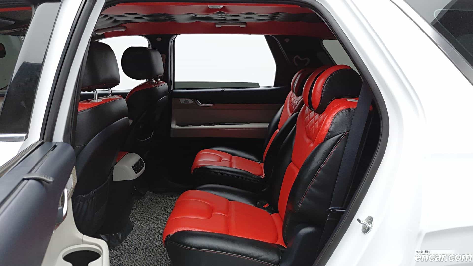 Palisade Hyundai 2019.8-OPTION-022