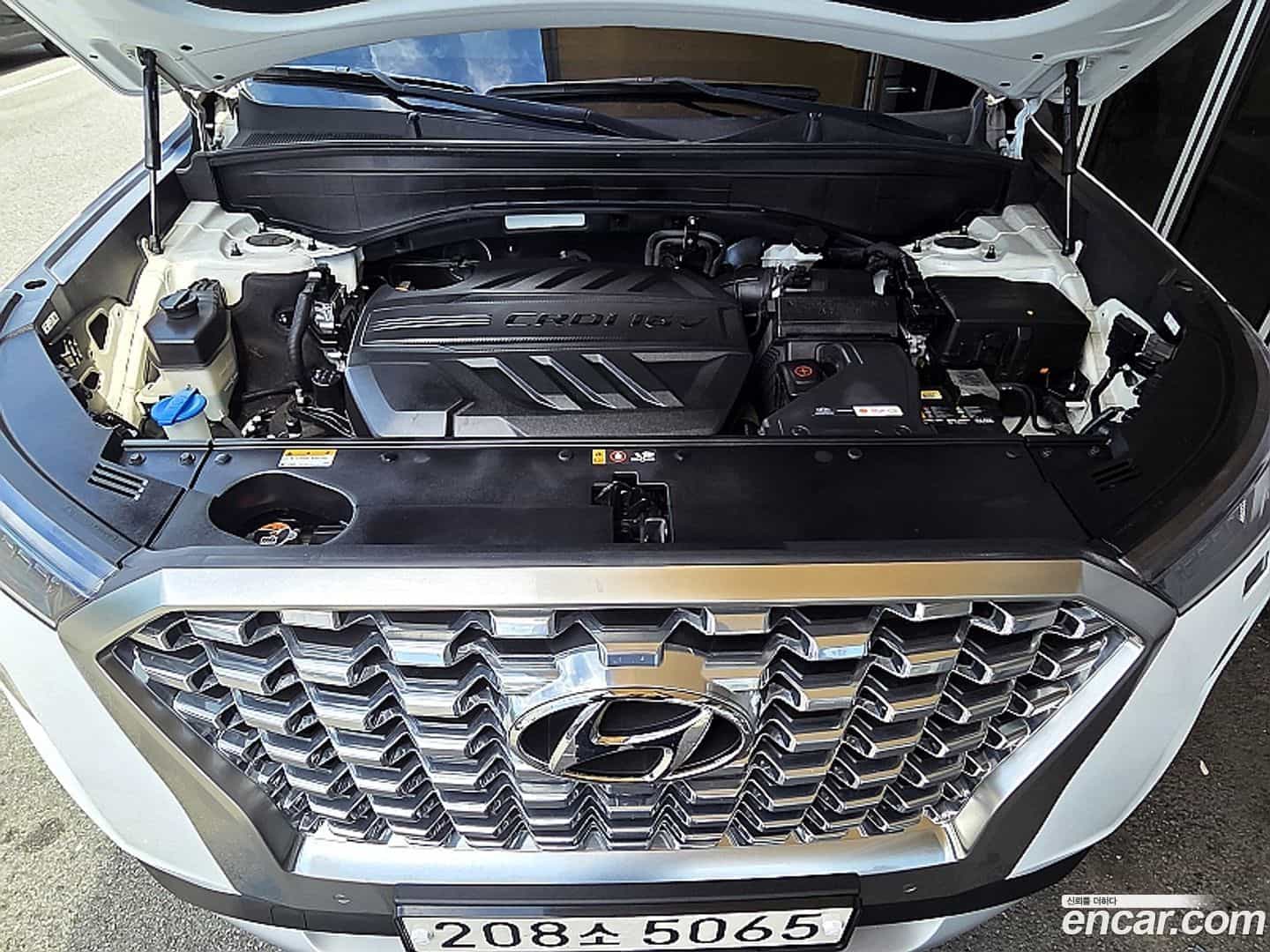 Palisade Hyundai 2019.6-OPTION-024