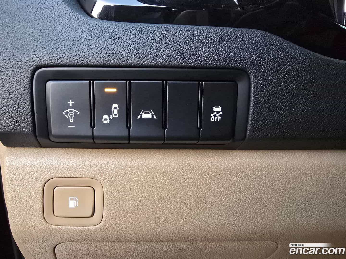 Canival Kia 2019.7-OPTION-018