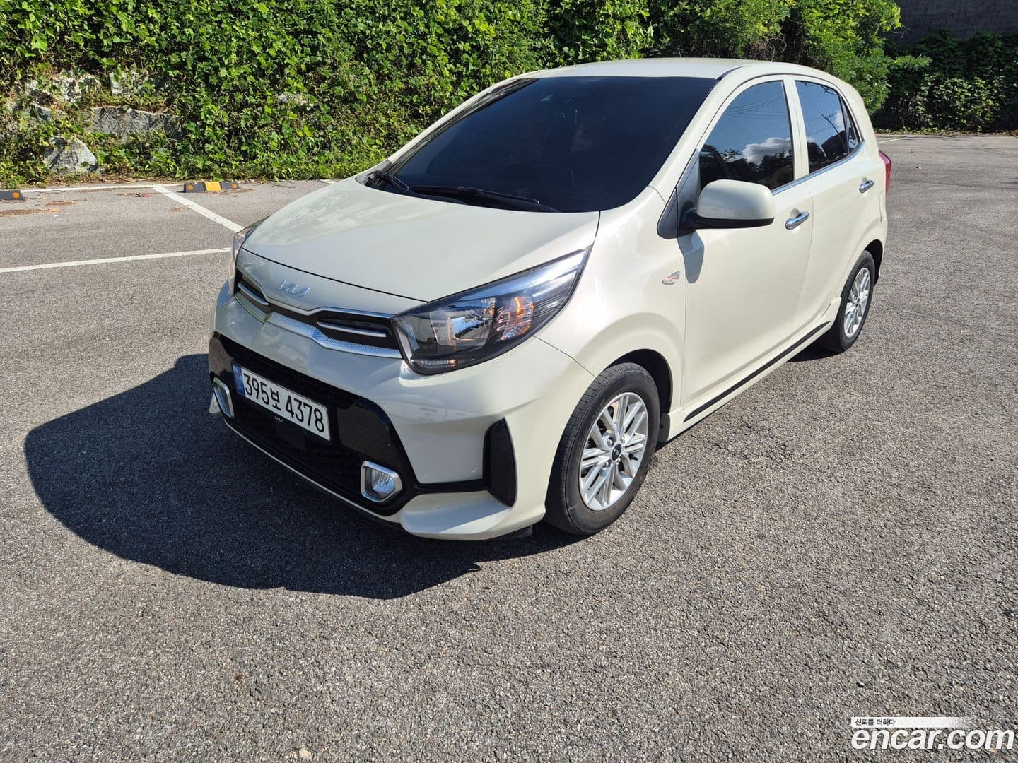 Main__Slider__Photo:morning Kia 2022.6-0