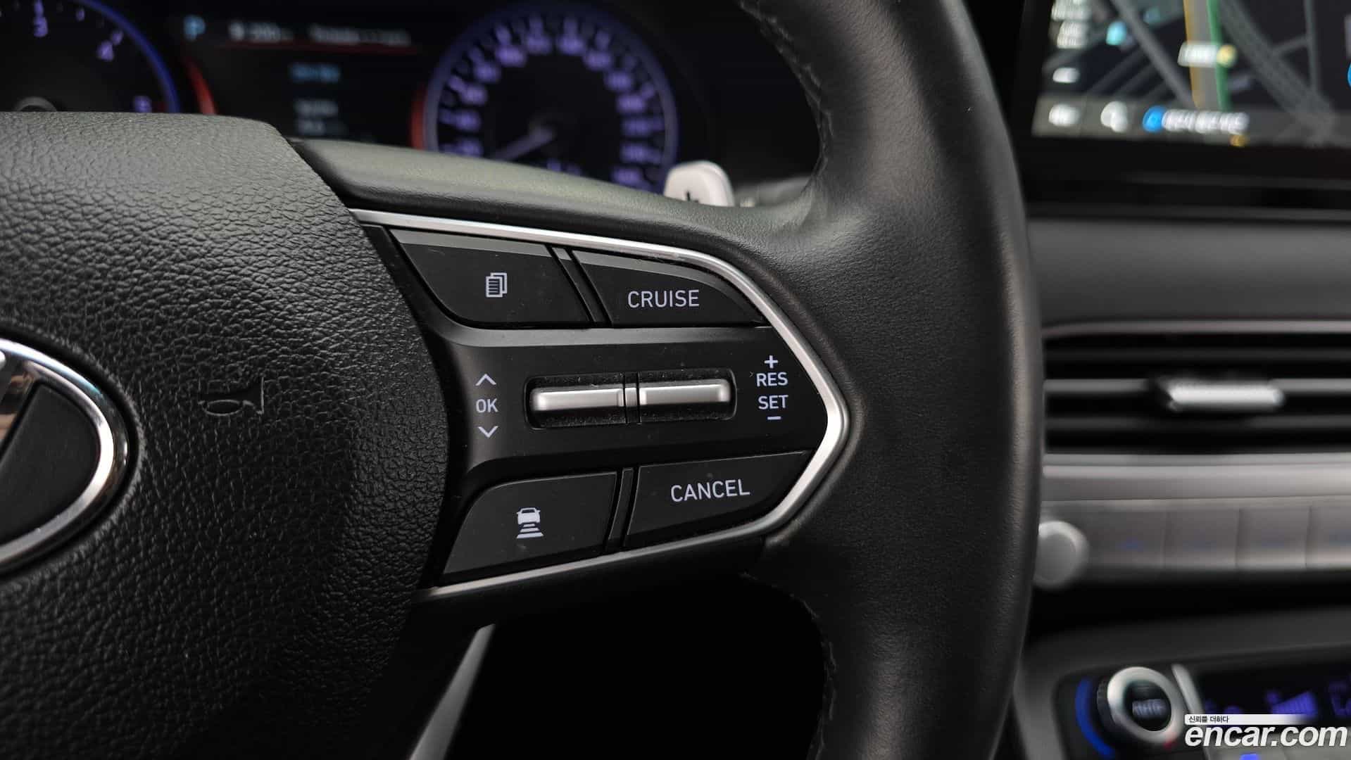 Palisade Hyundai 2019.3-OPTION-022