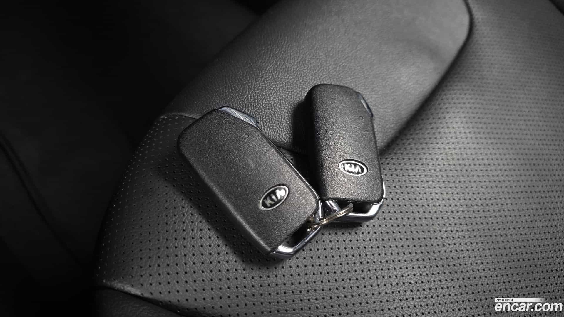 Niro Kia 2019.9-OPTION-021