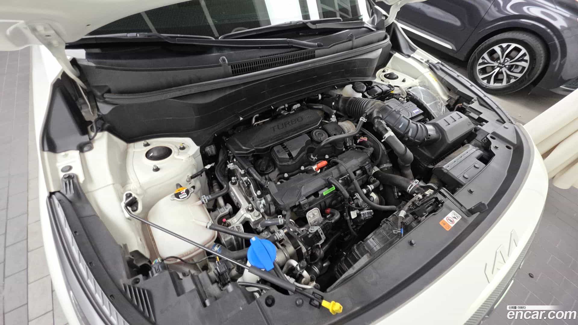Seltos Kia 2023.2-OUTER-006