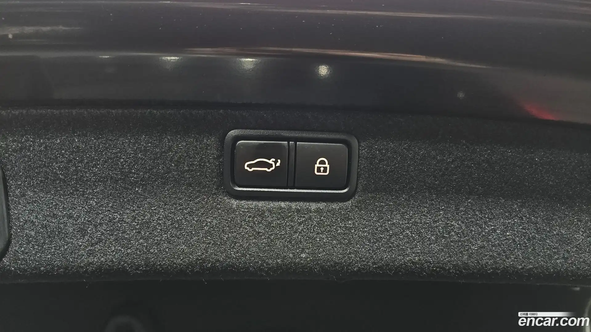 G80 Genesis 2019.0-OPTION-024
