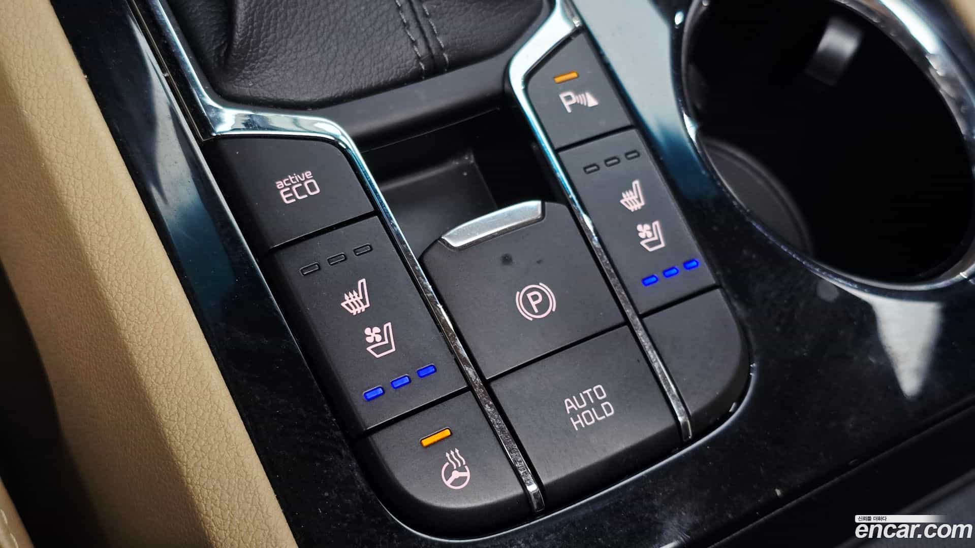 Canival Kia 2019.5-OPTION-018