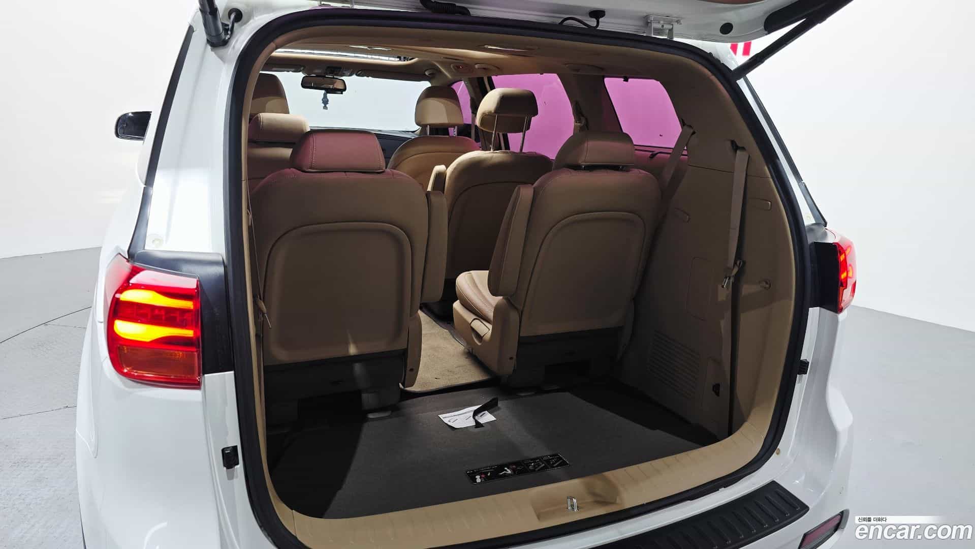 Canival Kia 2019.5-OPTION-024
