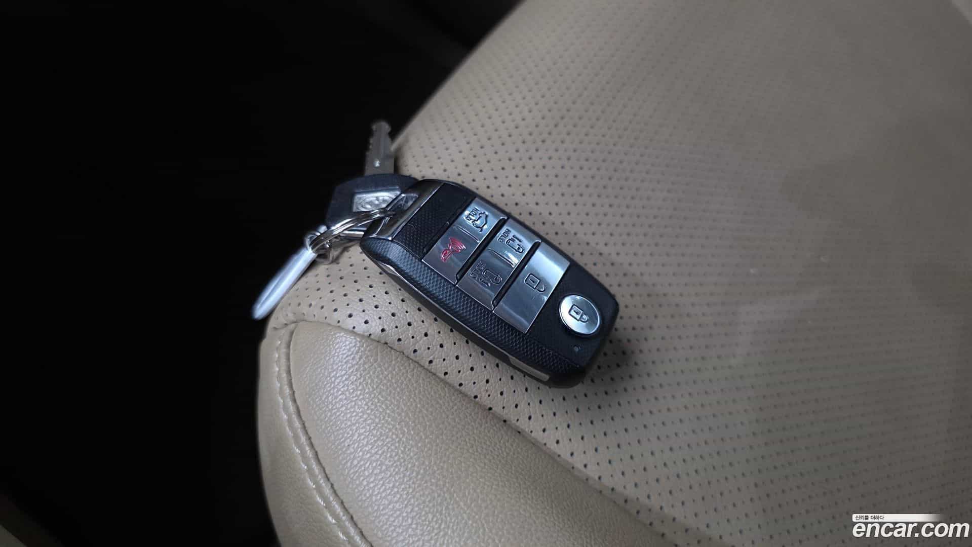 Canival Kia 2018.11-OPTION-044