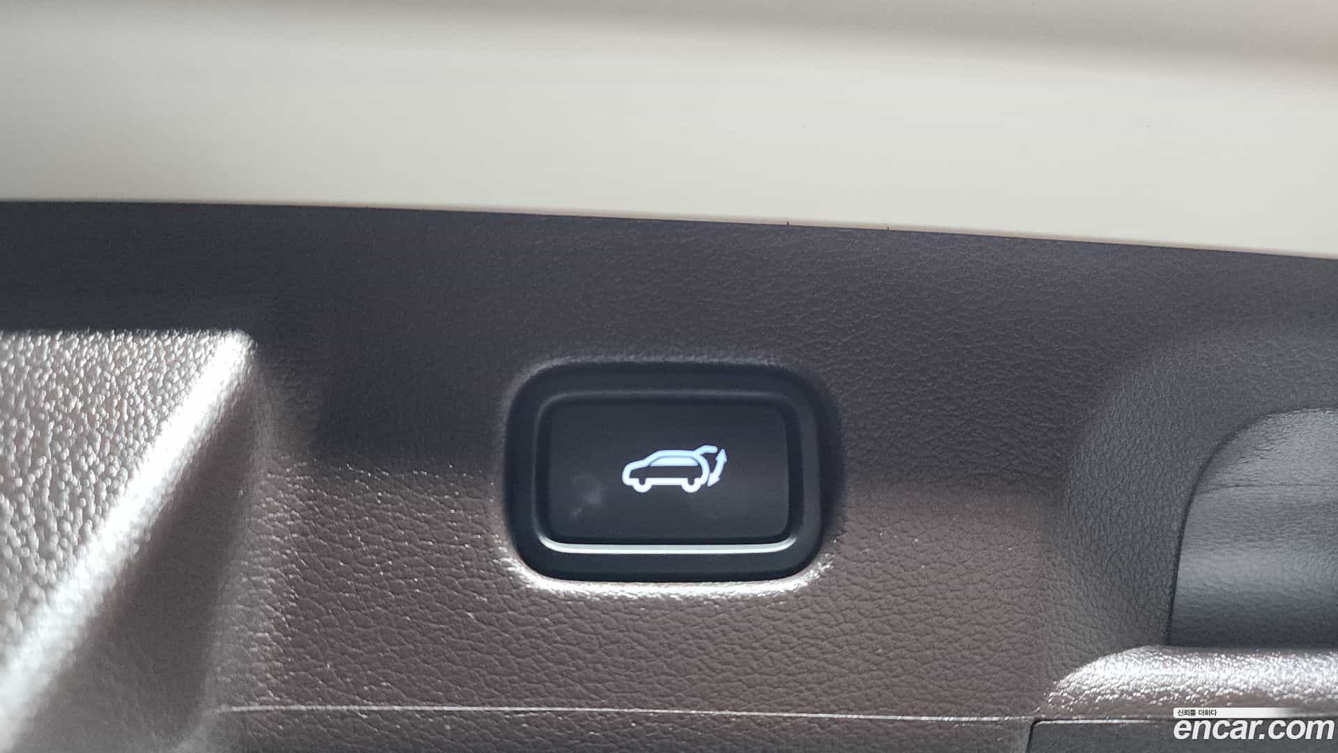 Palisade Hyundai 2023.8-OPTION-021