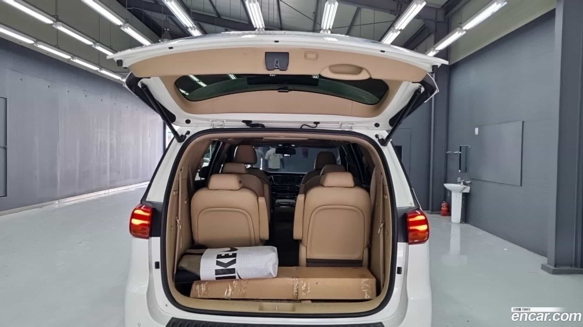 Canival Kia 2018.3-OPTION-020