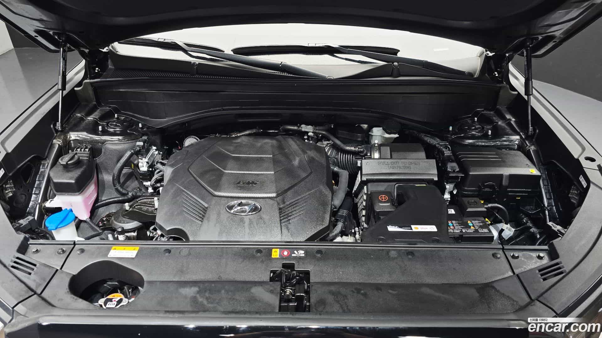 Palisade Hyundai 2024.2-OUTER-006
