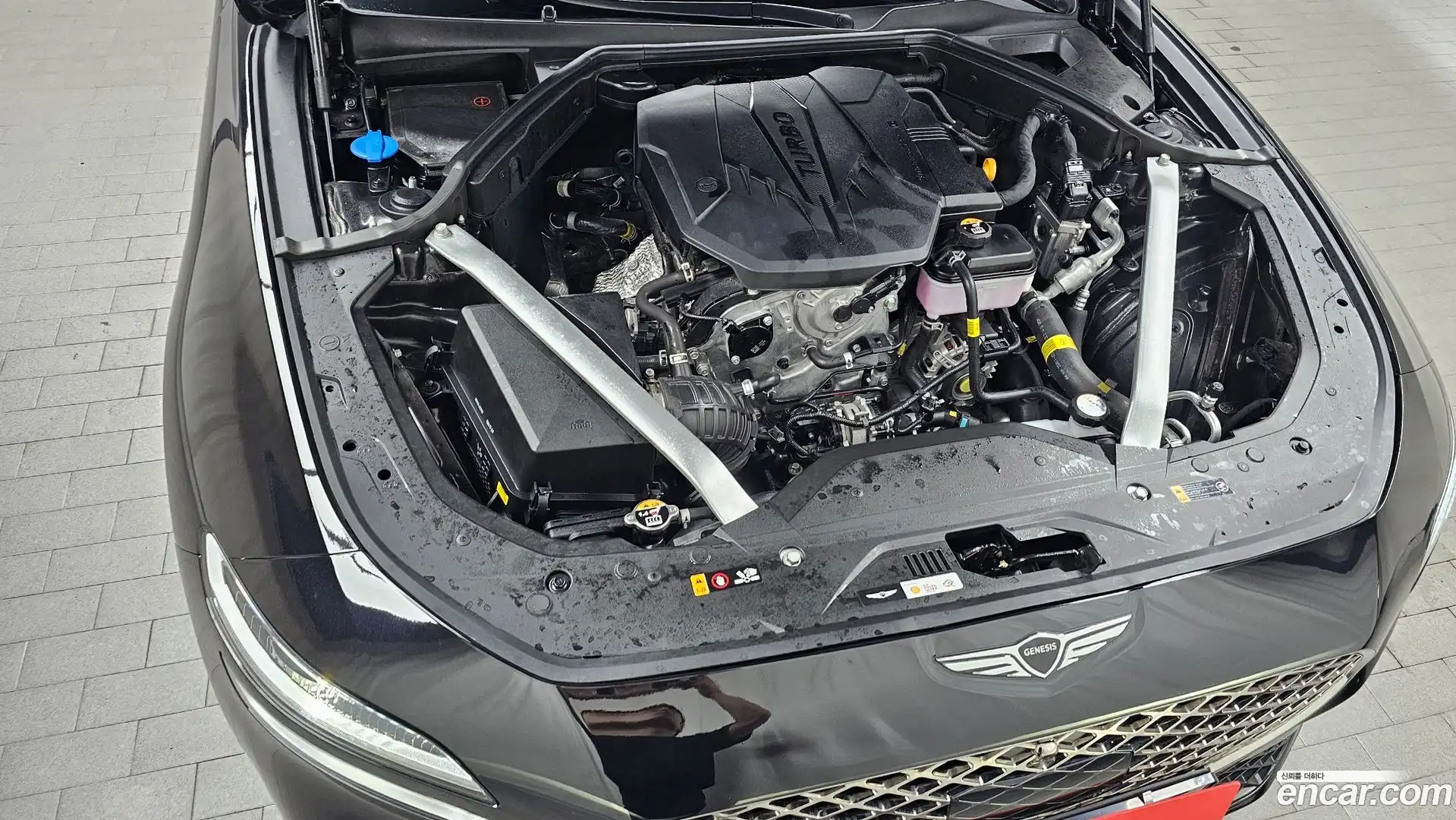 G70 Genesis 2024.11-OUTER-006