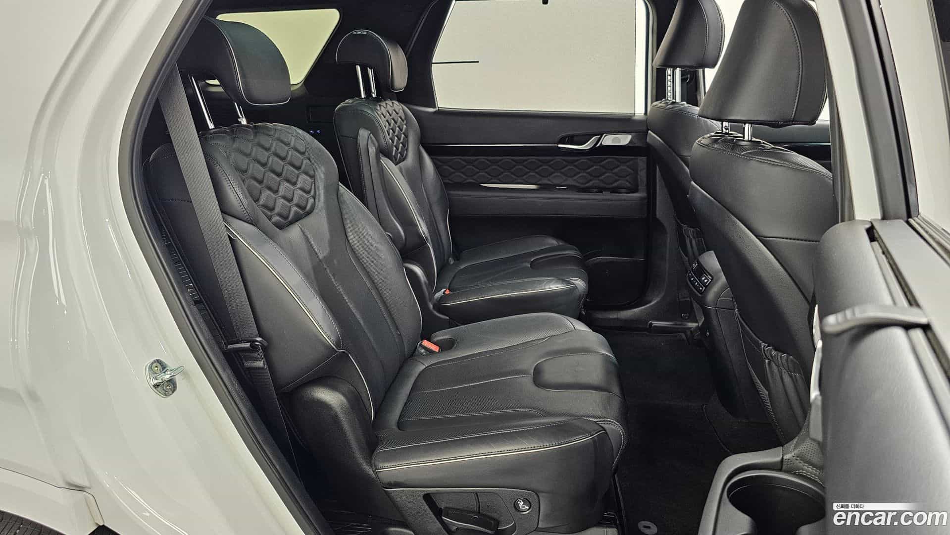 Palisade Hyundai 2022.4-OPTION-016