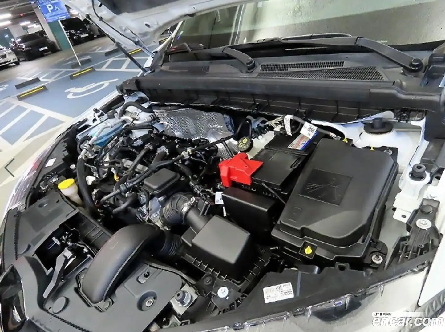 Arkana Renault Korea 2025.5-OPTION-023