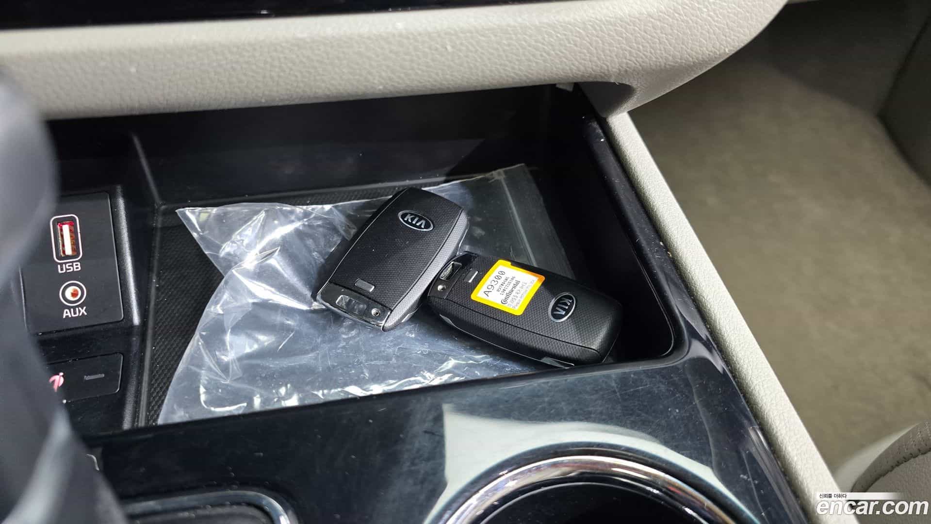 Canival Kia 2019.1-OPTION-020