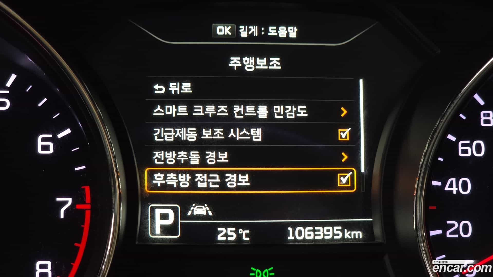 Canival Kia 2016.10-OPTION-020