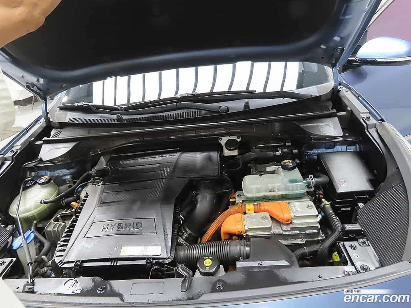 Niro Kia 2019.10-INNER-008