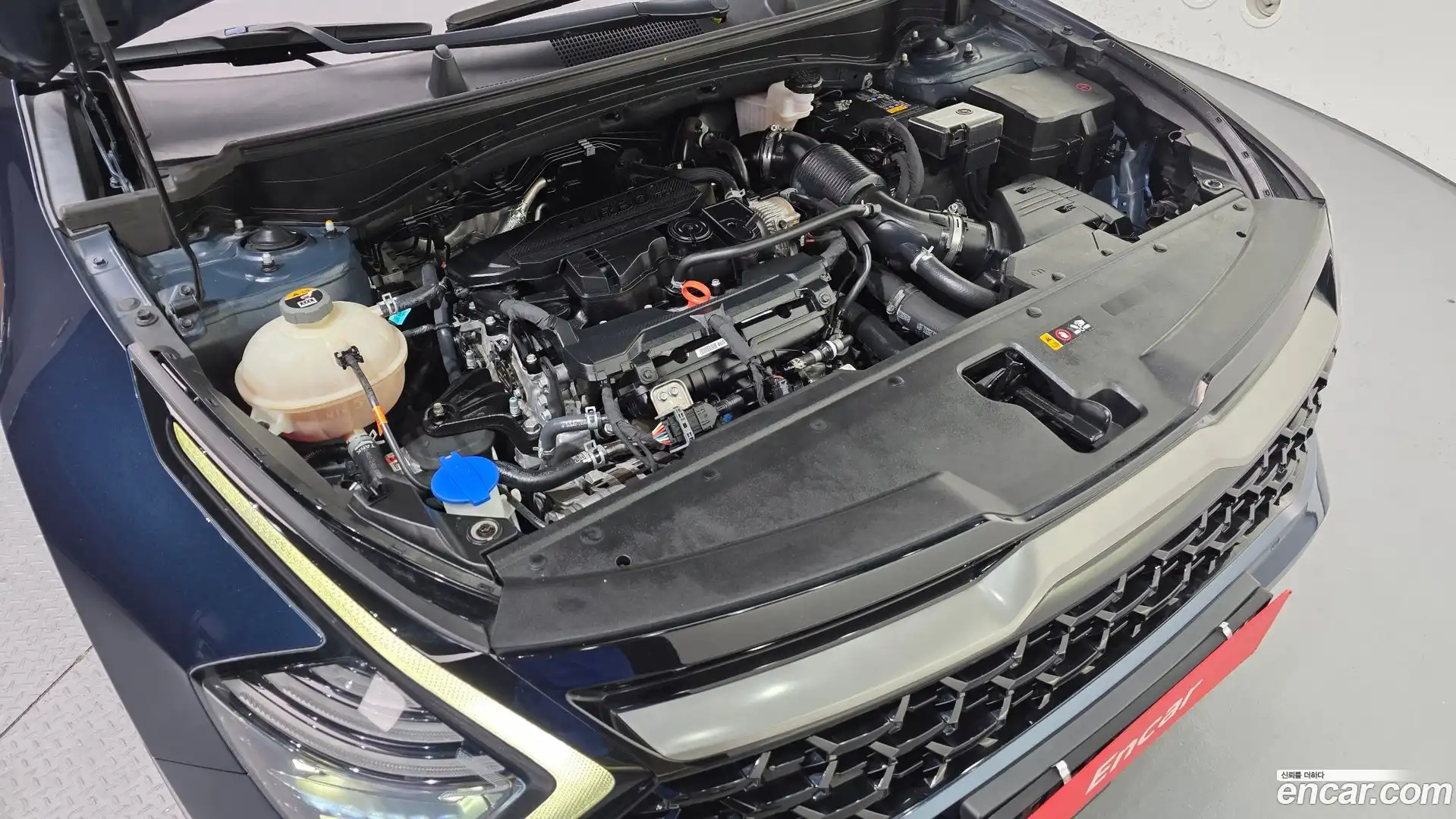 Sportage Kia 2021.8-OUTER-006