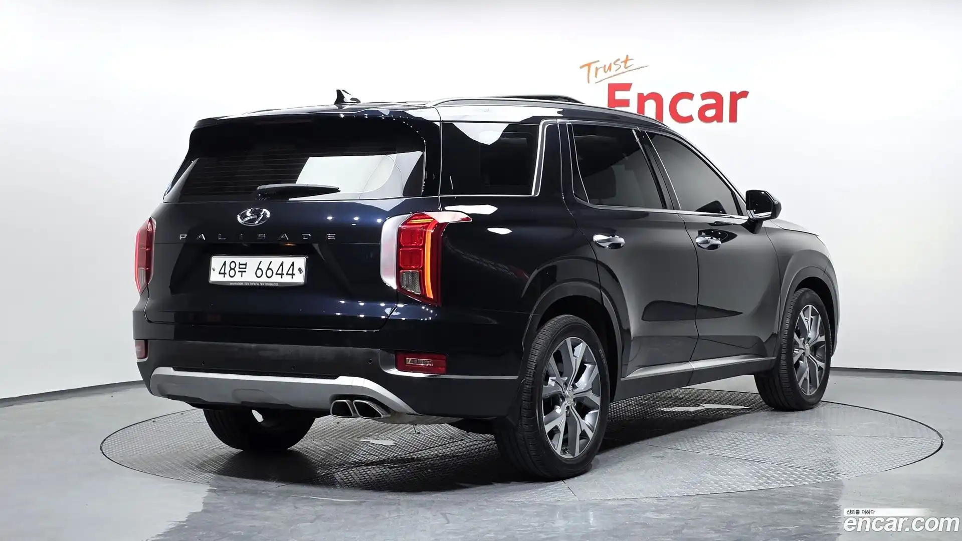 Palisade Hyundai 2019.6-OUTER-002