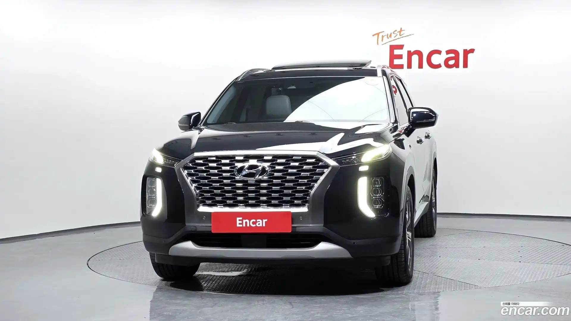 Palisade Hyundai 2019.6-OUTER-003